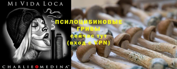 сатива Алексин