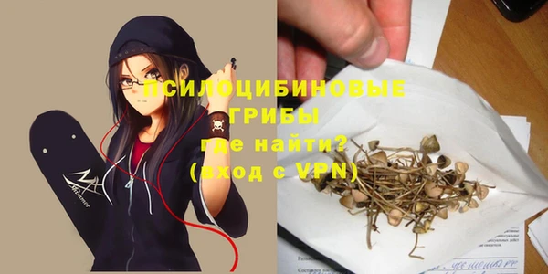гашик Алзамай