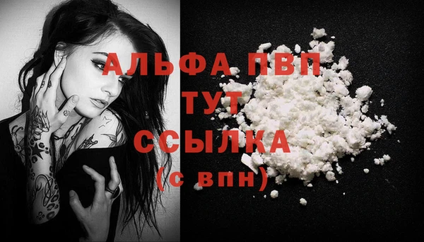 сатива Алексин