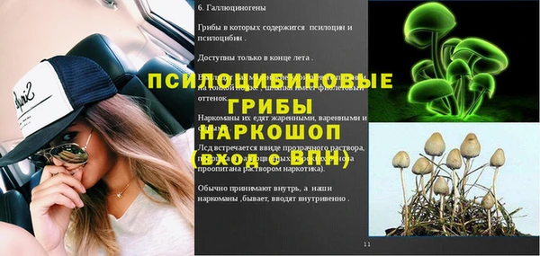 сатива Алексеевка